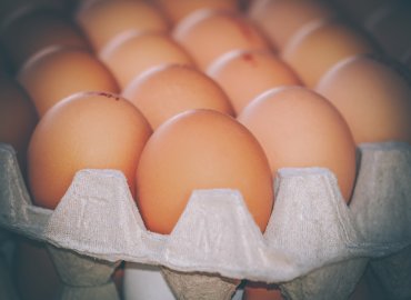 Le nostre uova